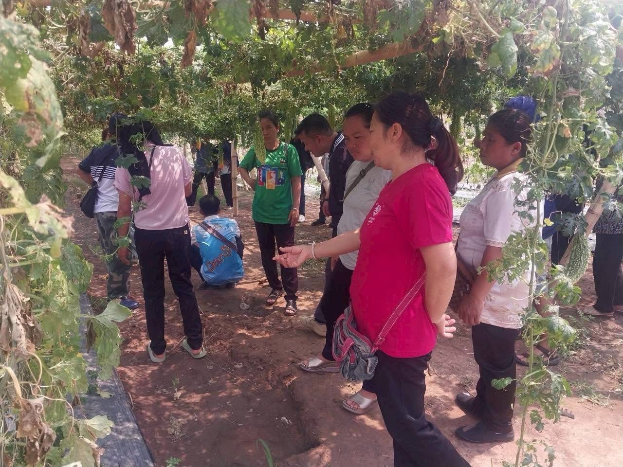 title - ส.ป.ก.พิษณุโลก จัดฝึกอบรมเกษตรกรภายใต้โครงการระบบส่งเสริมการเกษตรแบบแปลงใหญ่ในเขตปฏิรูปที่ดิน ปีงบประมาณ พ.ศ. 2569